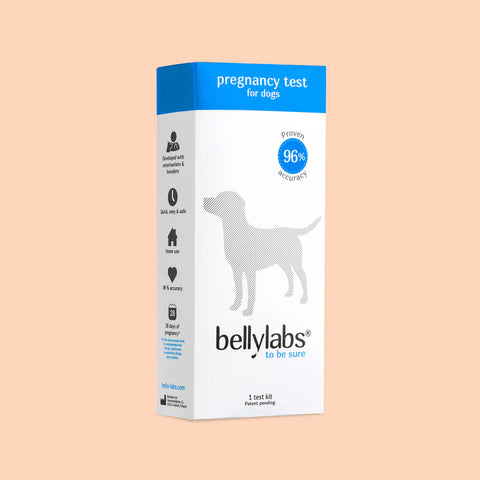 Bellylabs Pregnancy Test For Dogs