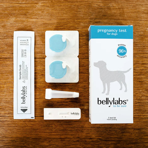 Bellylabs Pregnancy Test For Dogs